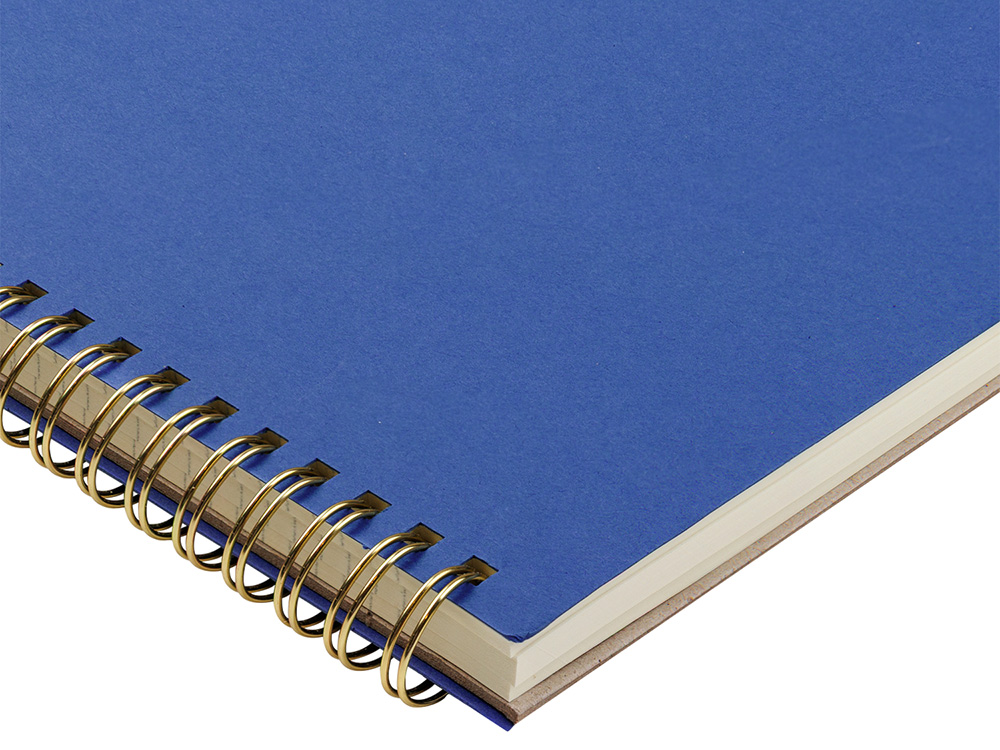 Бизнес тетрадь на гребне А4 Pragmatic, 100 листов в клетку, синий-2