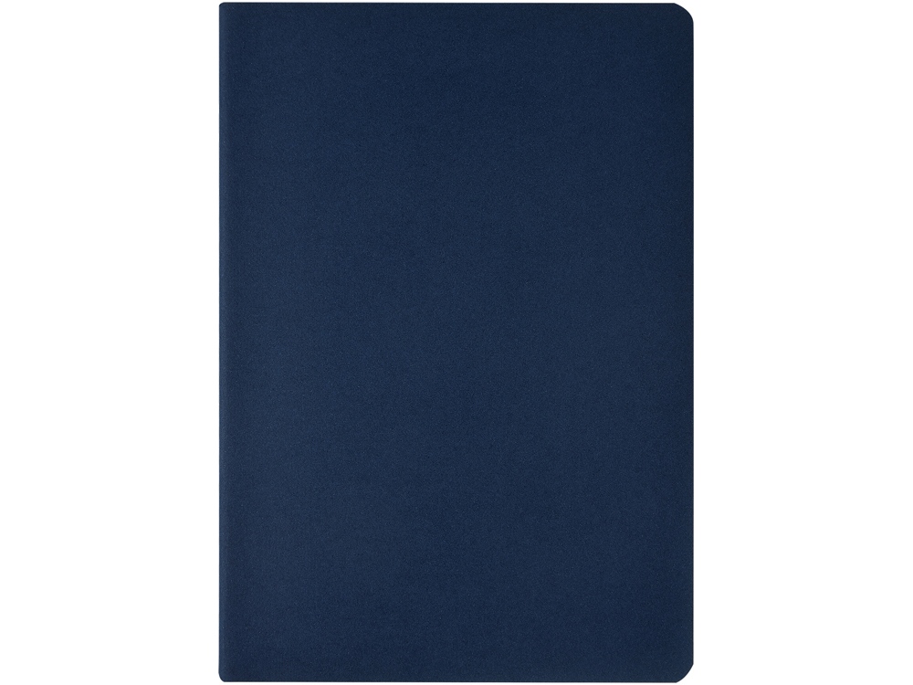 Бизнес-тетрадь А4 Pragmatic,  40л., клетка, темно-синий-1