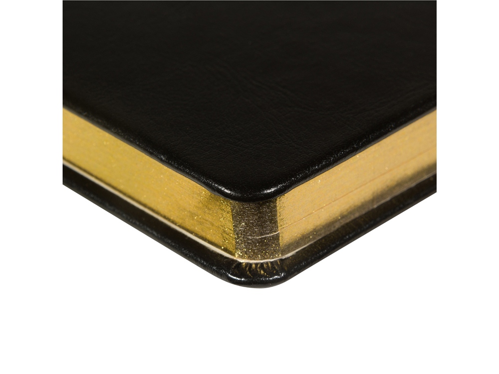 Ежедневник недатированный А5 Megapolis Nebraska, черный с золотым обрезом-2