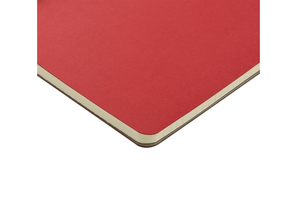 Бизнес тетрадь на гребне А5 Pragmatic, 60 листов в клетку, красный-3