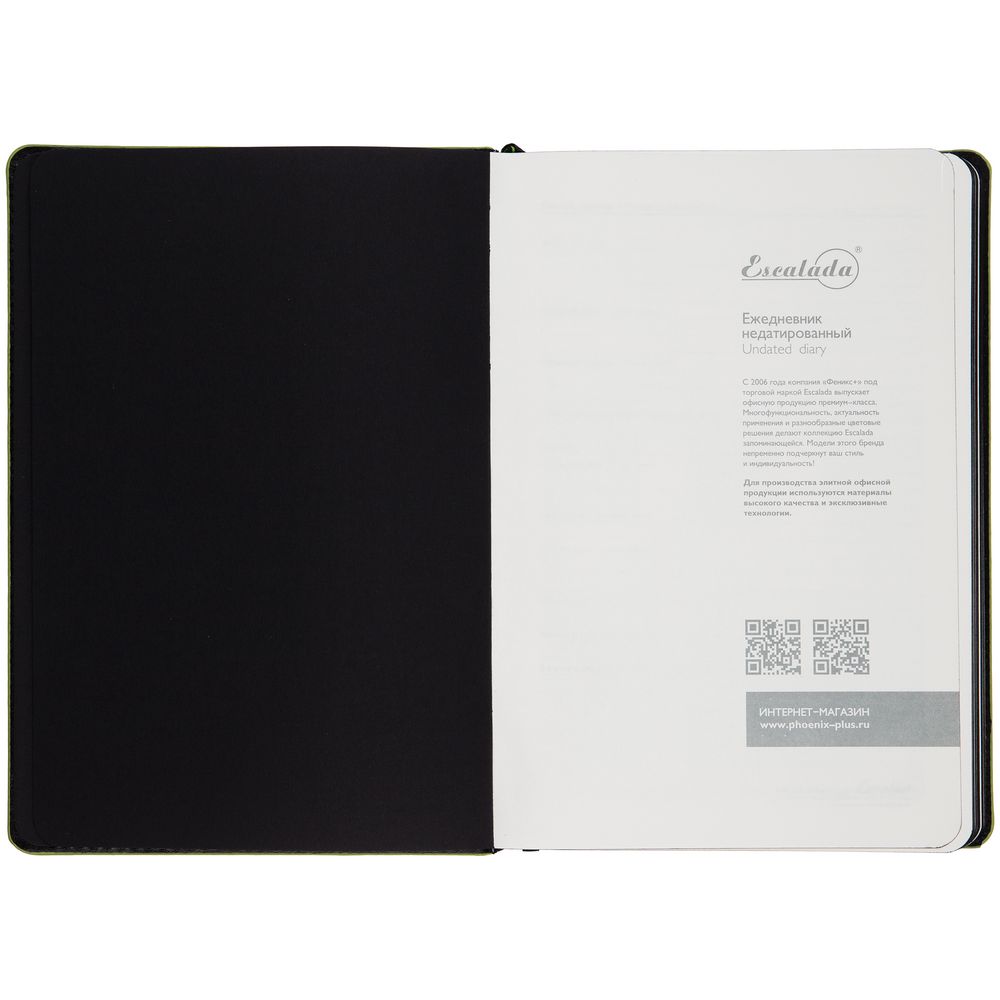 Ежедневник Alanis, недатированный, черный с зеленым-2