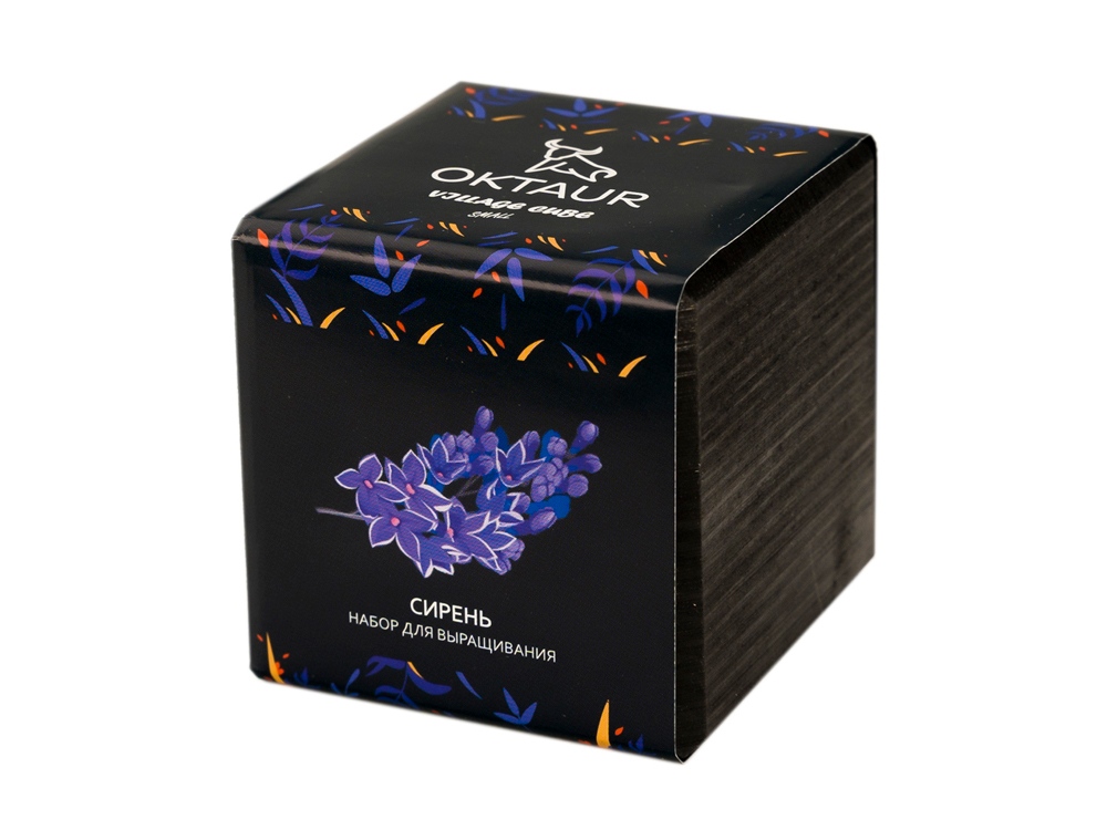 Набор для выращивания Small village cube Сирень-0