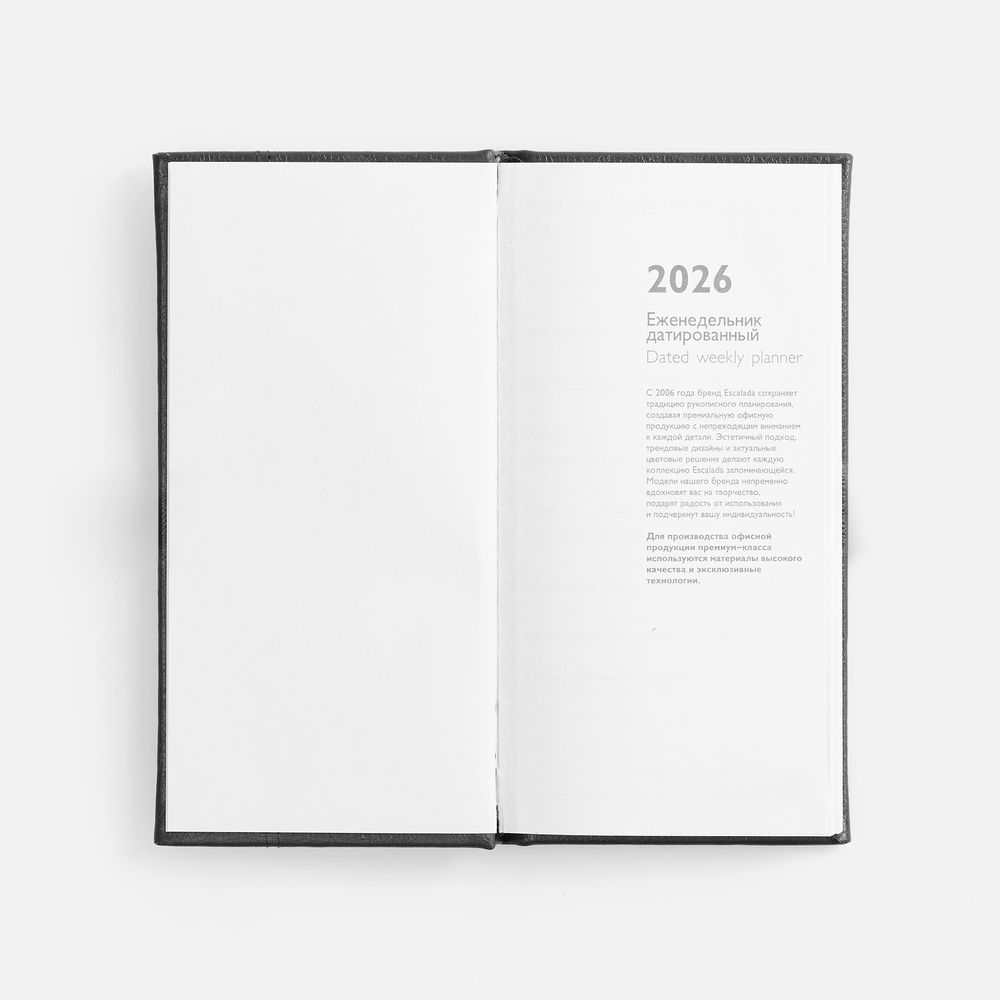 Еженедельник Baza, датированный, черный-6