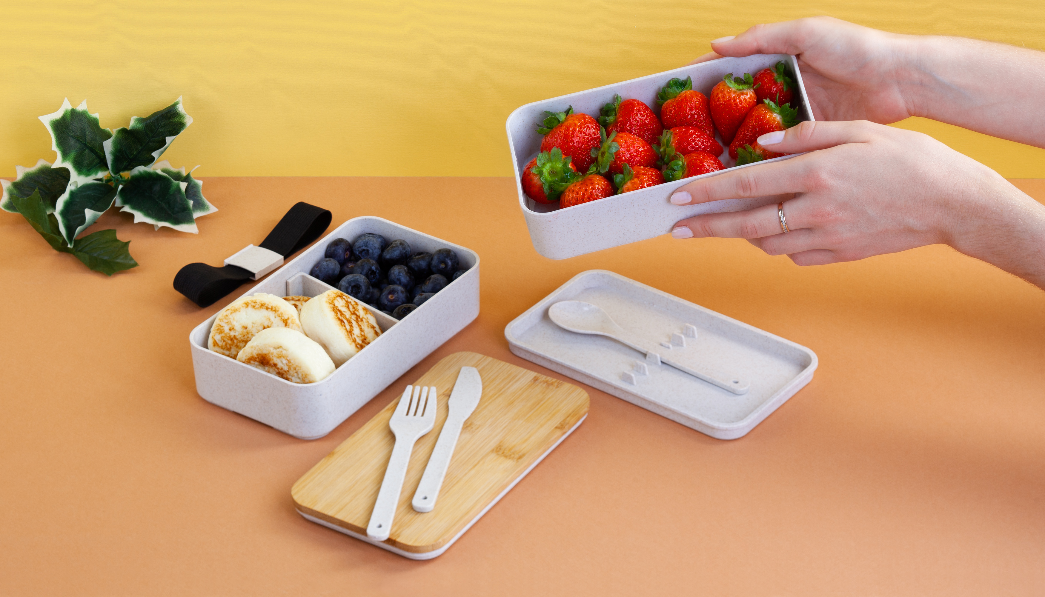 Контейнер для ланча "Natural" с приборами-1