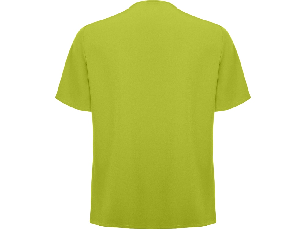 Рубашка мужская Ferox, фисташковый-1