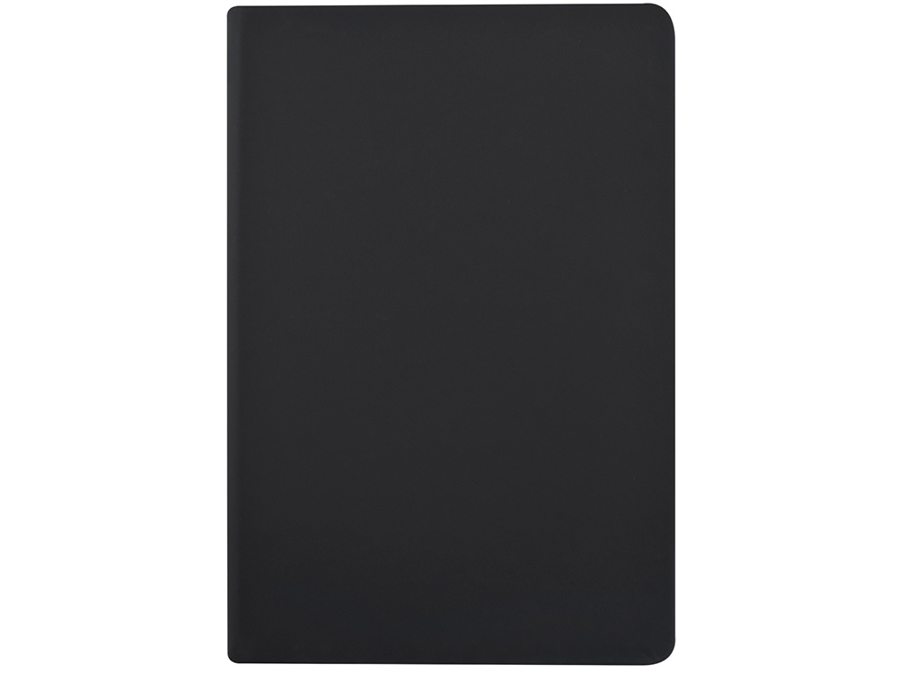 Ежедневник А5 датированный Megapolis Color 2026, черный-1