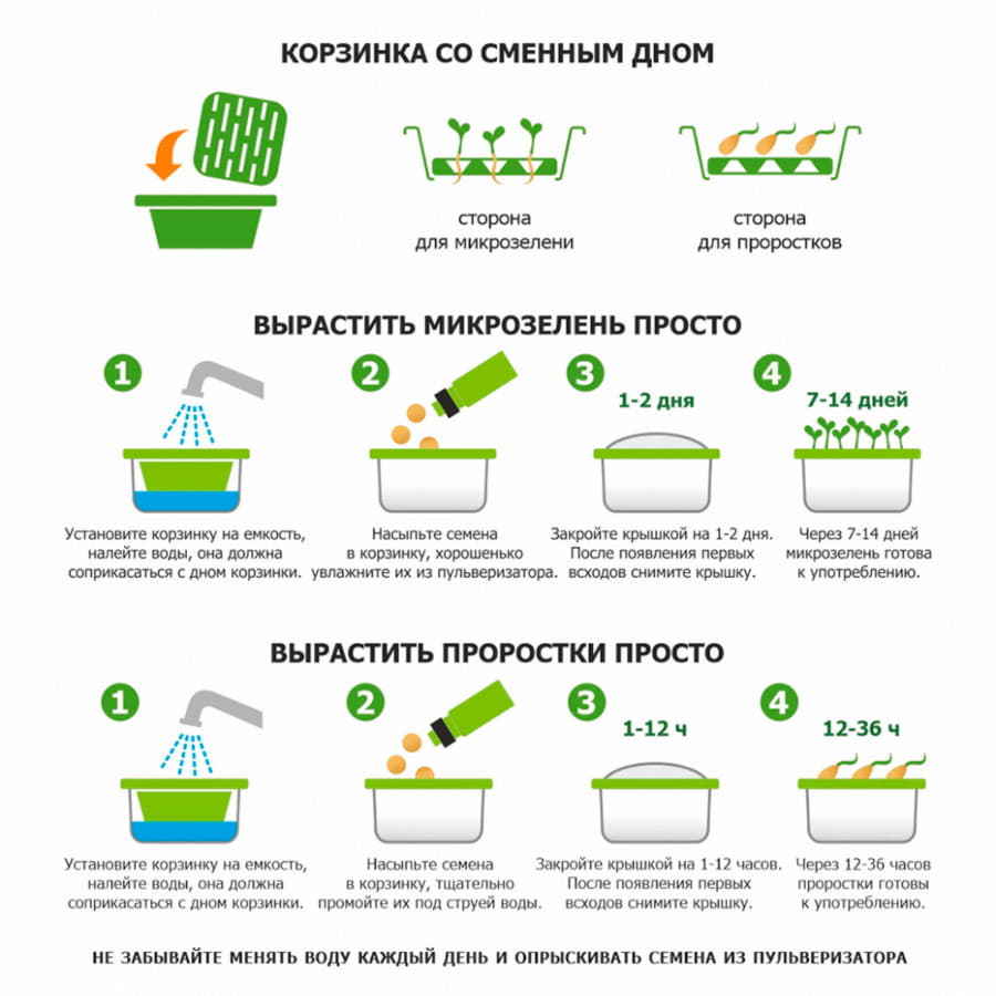 Подарочный комплект для проращивания микрозелени: проращиватель, семена микс, зеленый-3