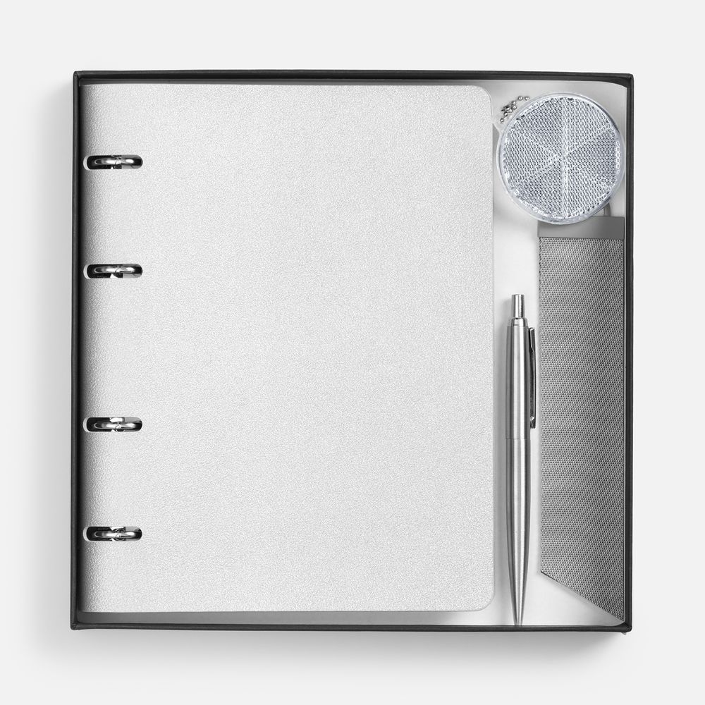 Набор Ringo, серебристый-1