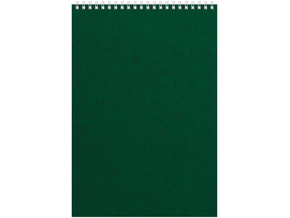 Бизнес - блокнот Альт А4 (198 х 285 мм) Office 60 л., зеленый-0