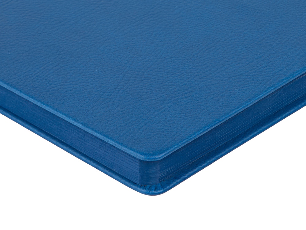 Ежедневник А5 датированный Megapolis Nappa на 2026, синий-5