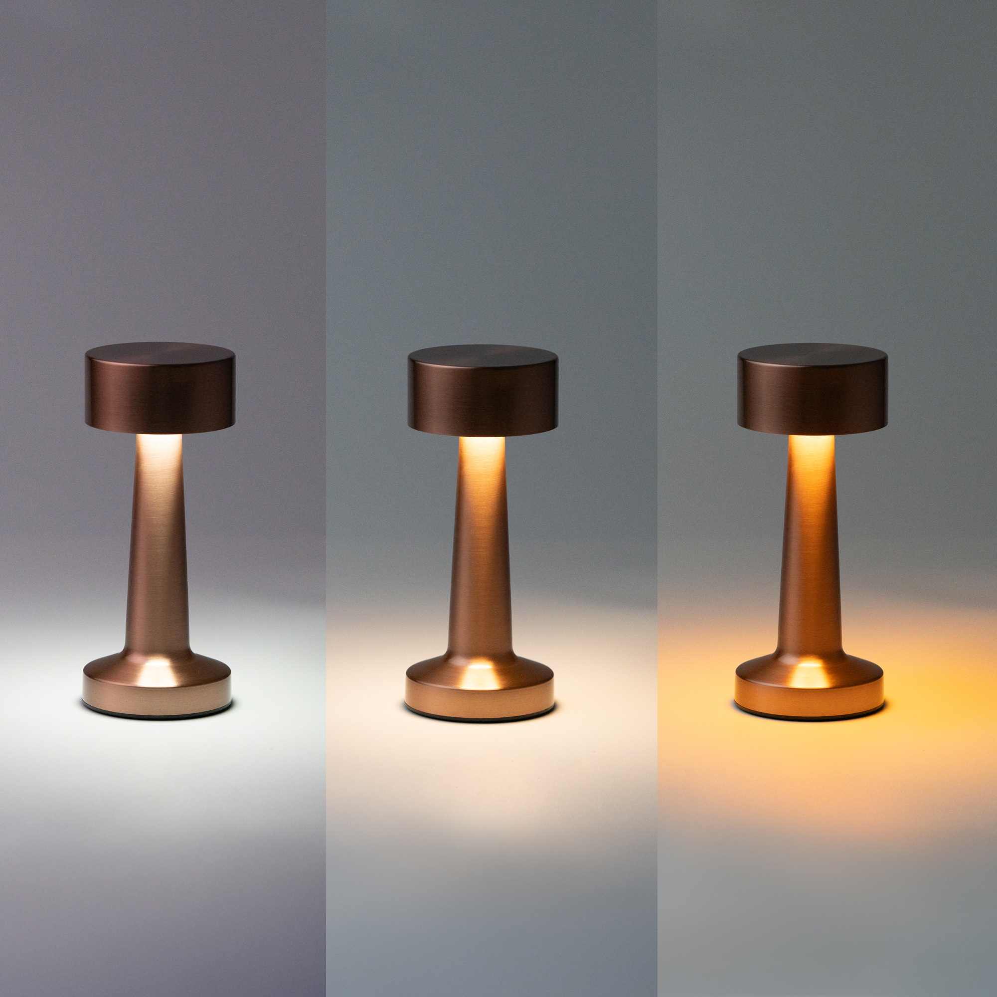 Настольная лампа REIKI cо встроенной батареей HF-8, Черный-1