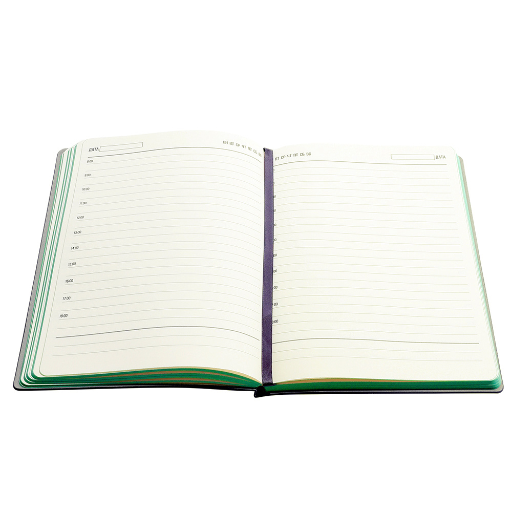 Ежедневник A5 недатированный Carisma в мягком переплёте, Зелёный-4