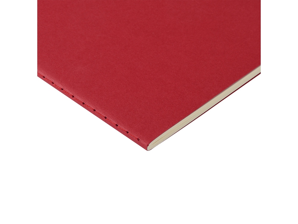 Бизнес тетрадь А5 Pragmatic, 40 листов в клетку, красный-2