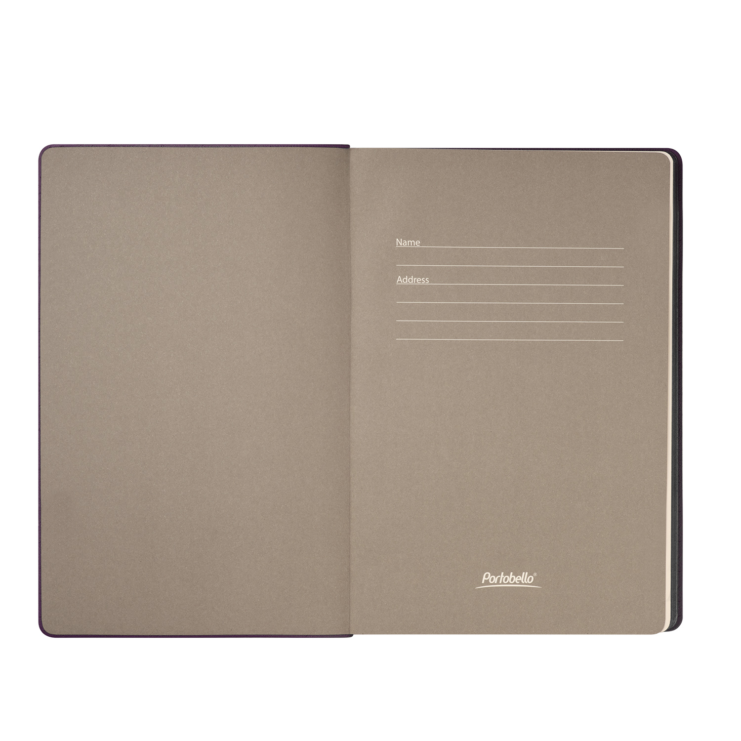 Ежедневник Рейн (Rain) недатированный, фиолетовый-8