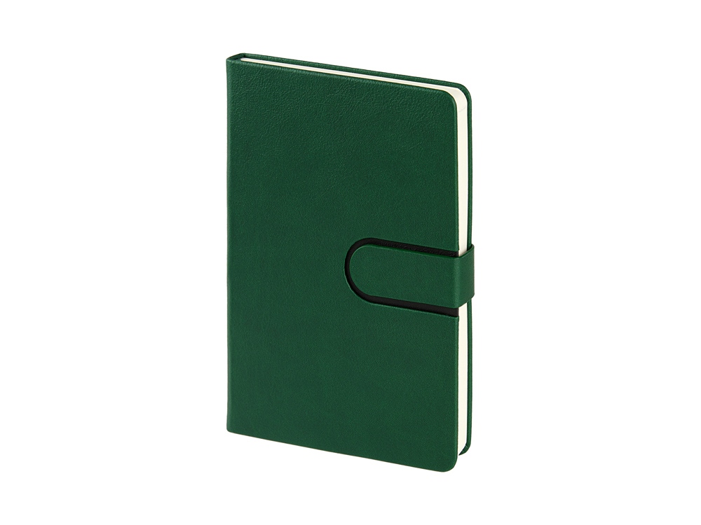Ежедневник недатированный А5 Status, зеленый-2