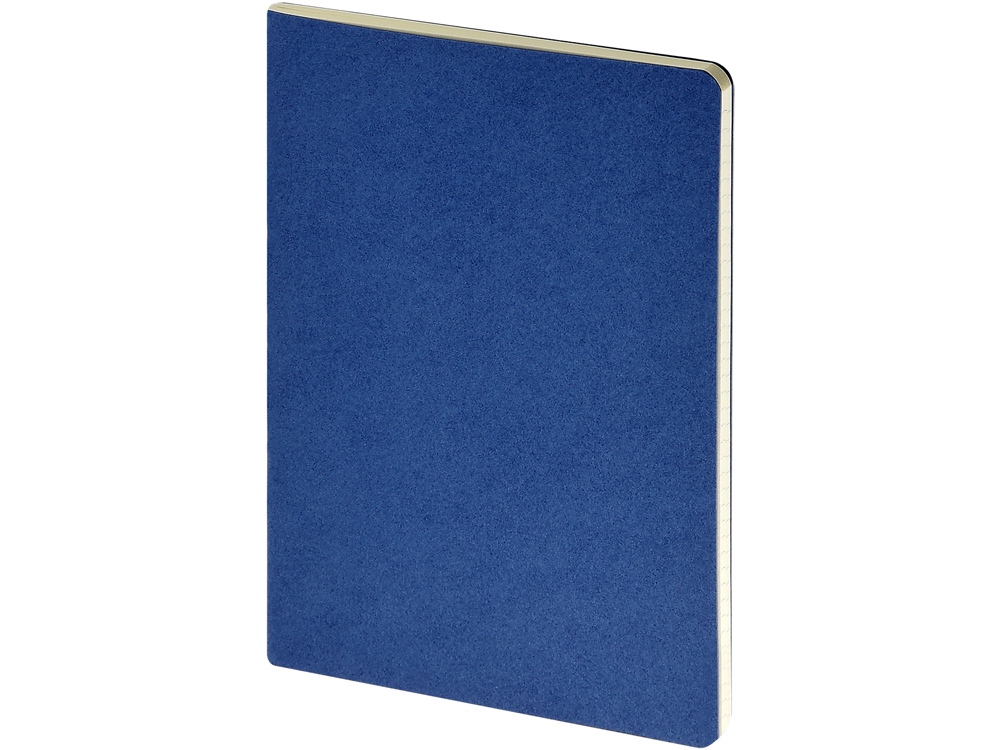 Бизнес-тетрадь А4 Pragmatic,  40л., клетка, синий-0