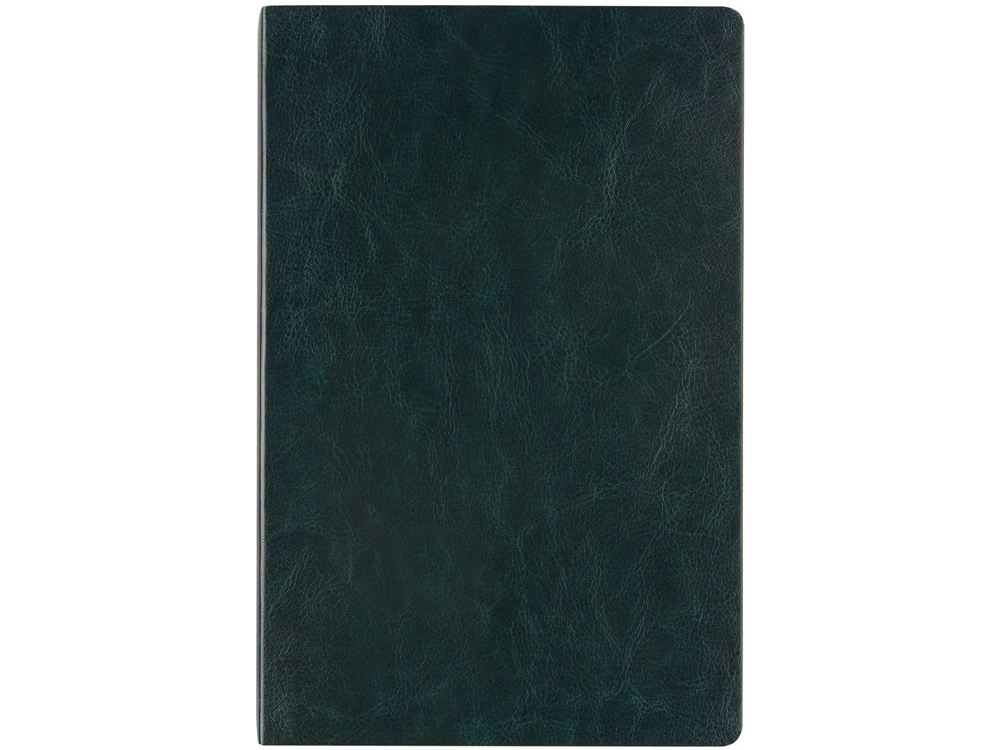 Ежедневник недатированный А5 Megapolis Nebraska Flex, зеленый с золотым обрезом-1