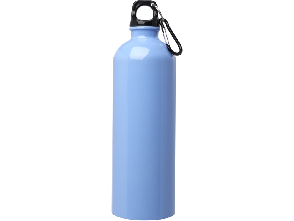 Одностенная бутылка для воды с карабином Oregon, изготовленная из нержавеющей стали, сертифицированной по стандарту RCS, объемом 750 мл - Cloud Blue-1