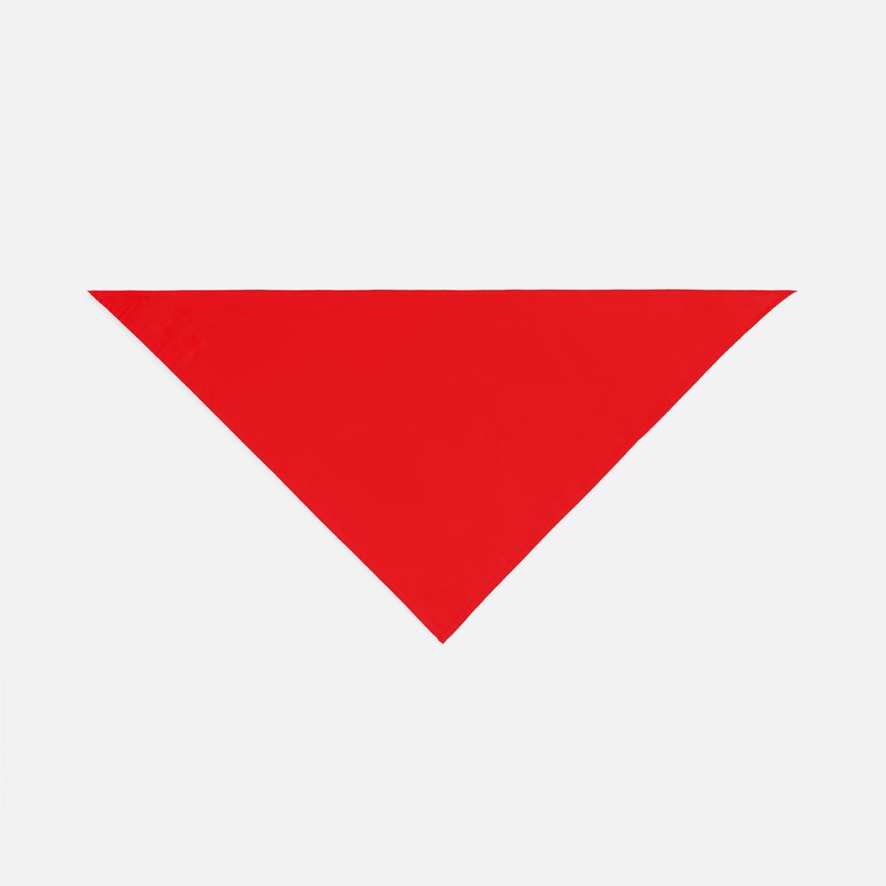 Шейный платок Bandana, красный-3