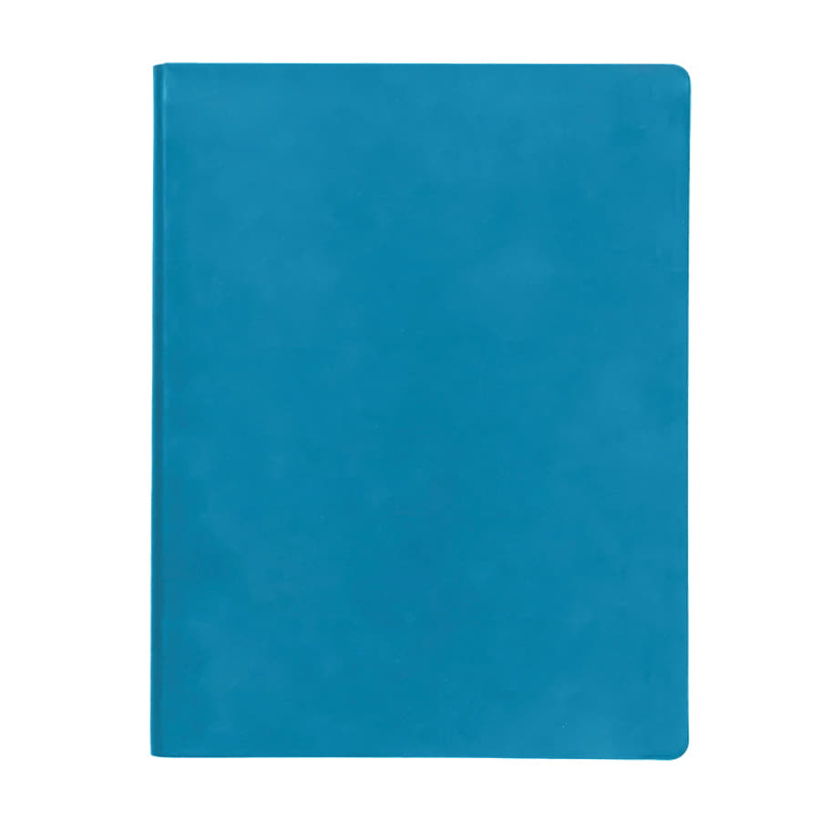 Бизнес-блокнот BIGGY, формат B5,  в клетку, голубой-1