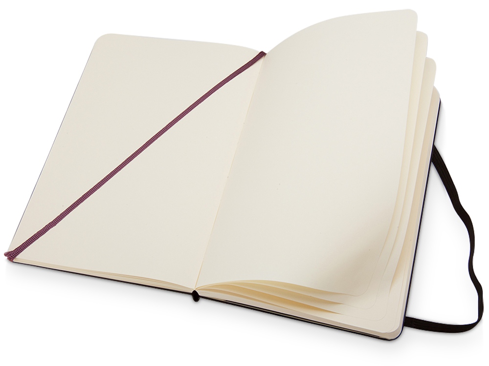 Записная книжка Moleskine Classic (нелинованный) в твердой обложке, Large (13х21см), черный-2