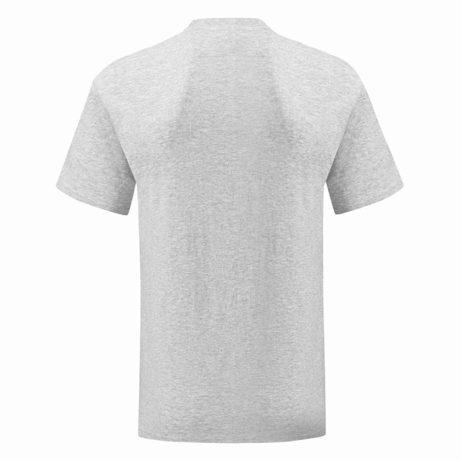 Футболка мужская ICONIC 150, серый-2