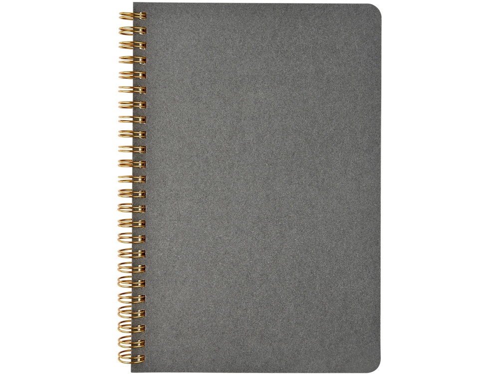 Бизнес тетрадь на гребне А5 Pragmatic, 60 листов в клетку, серый-1
