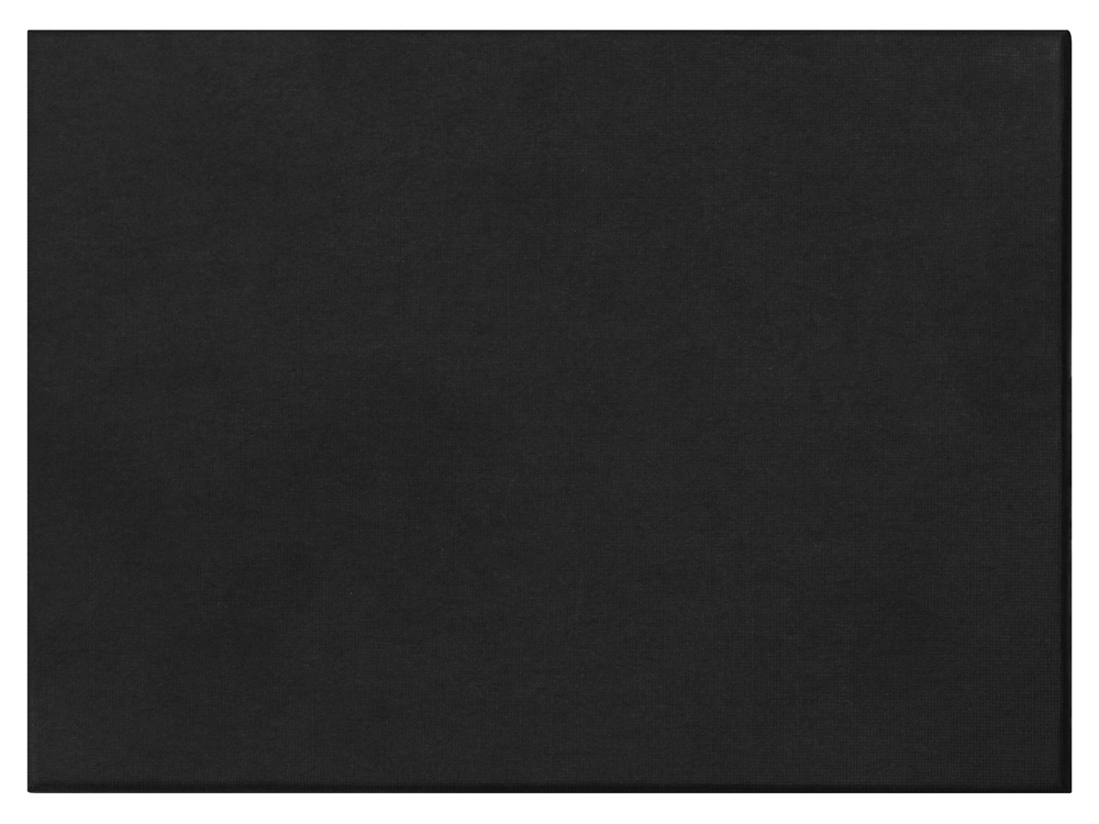 Набор Партнер: визитница, ручка шариковая, черный-8