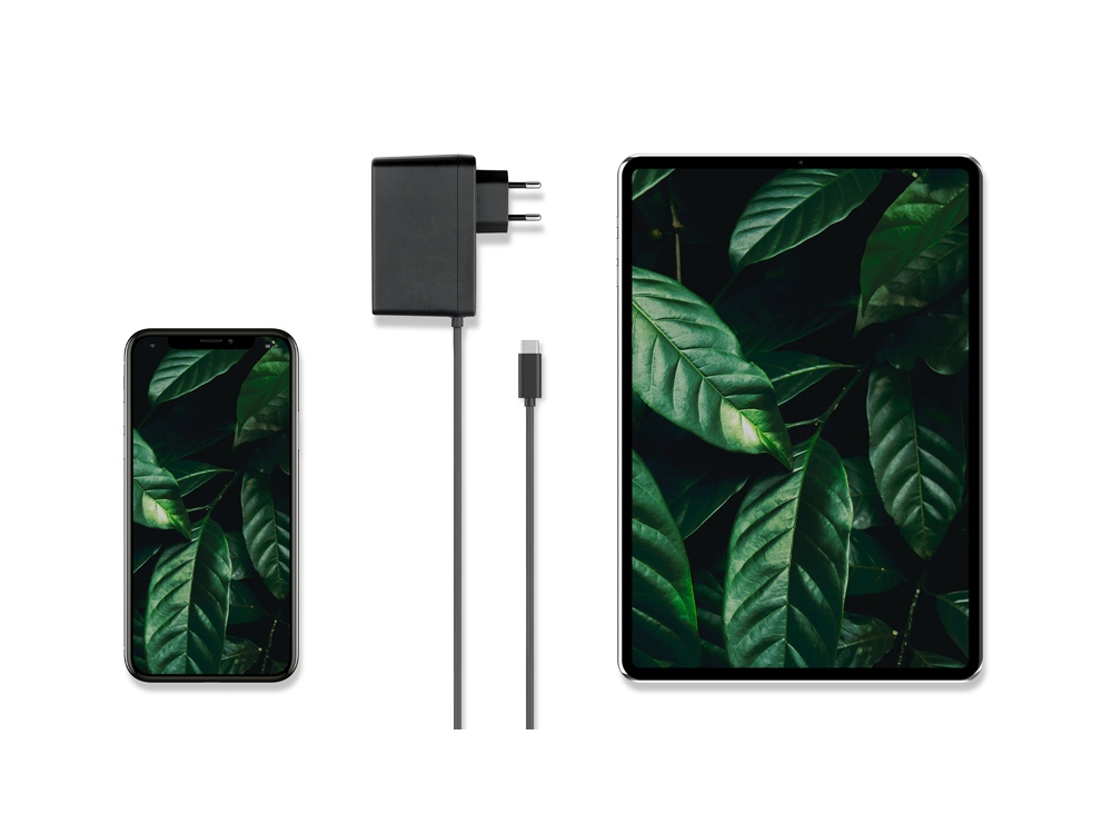 Сетевое зарядное устройство Rombica NEO Z Type-C 60-6