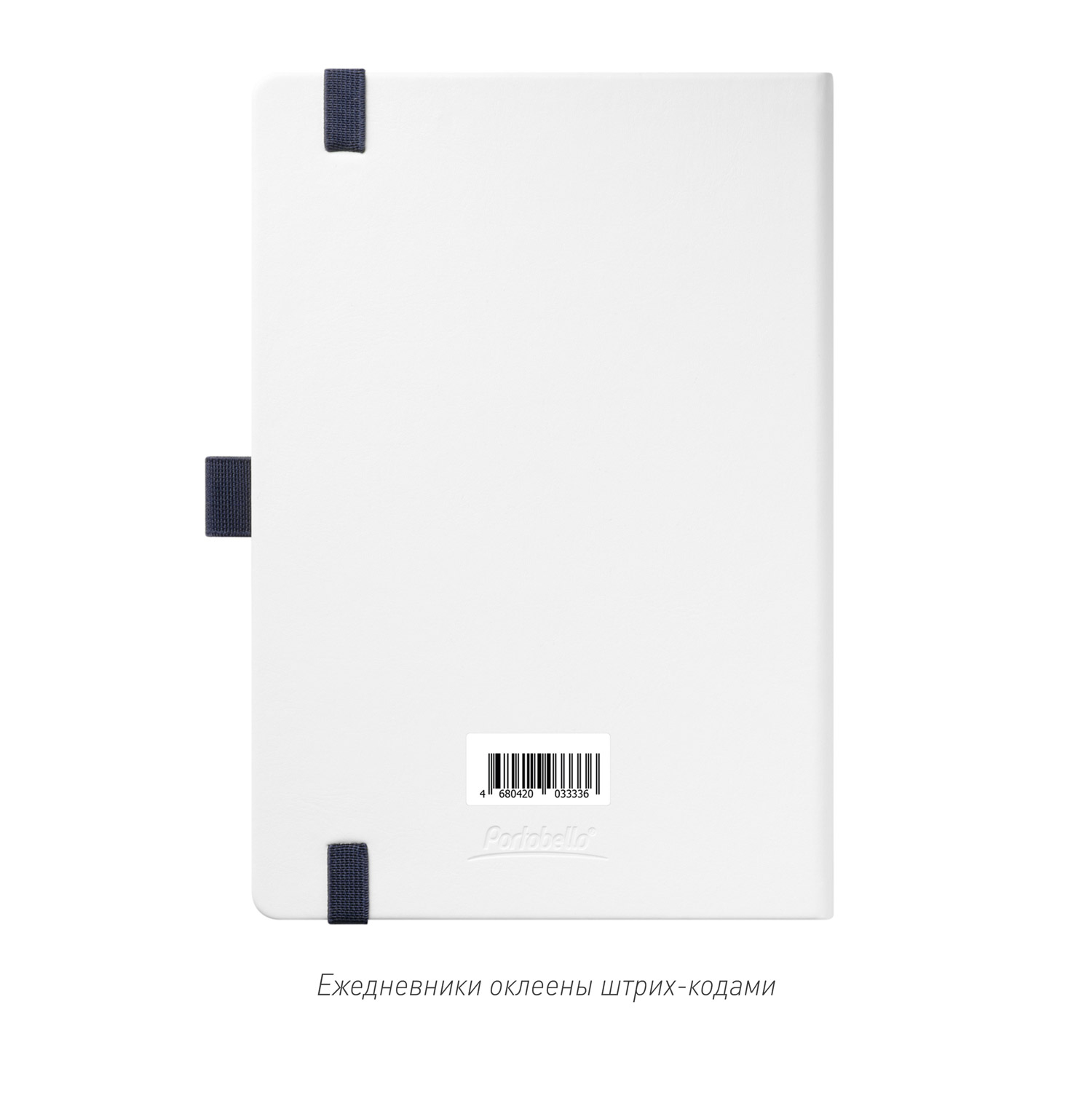 Ежедневник Arctic недатированный, белый/синий-13