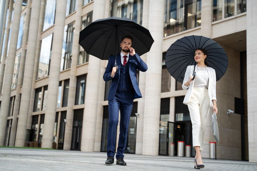 Зонт-трость Lui, черный-2