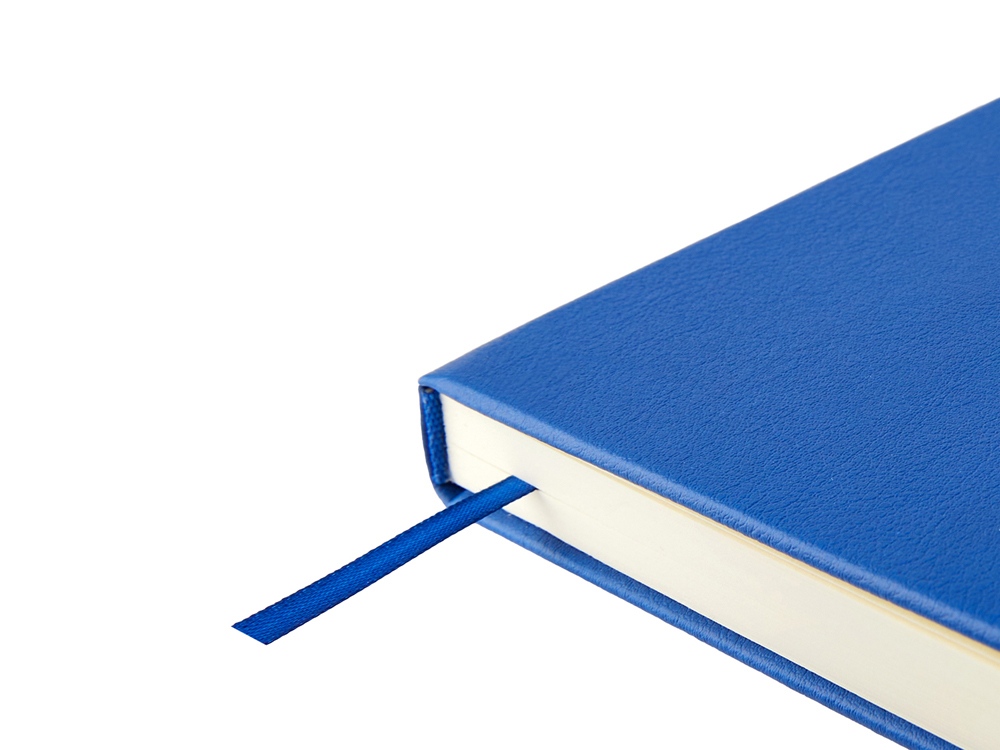 Ежедневник недатированный А5 Status, синий-4