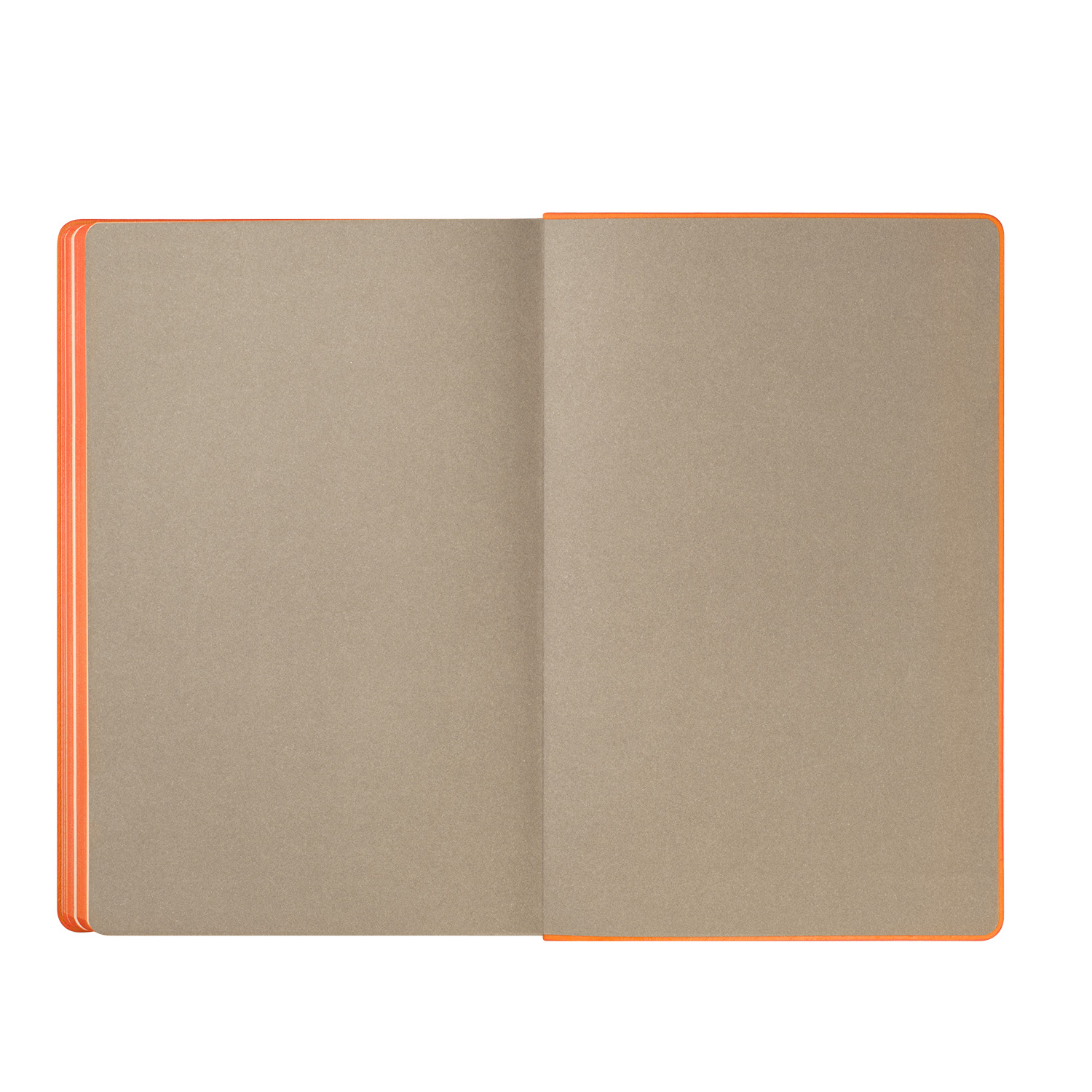 Ежедневник Рейн (Rain) недатированный, оранжевый (без упаковки, без стикера)-9
