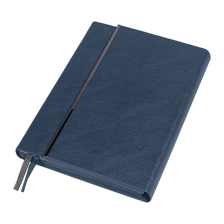 Ежедневник Alfa Bird Petrus A5, Синий-1