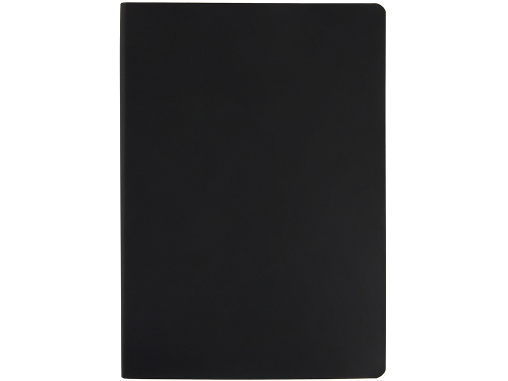 Ежедневник недатированный А5 Megapolis Color Flex, черный-3