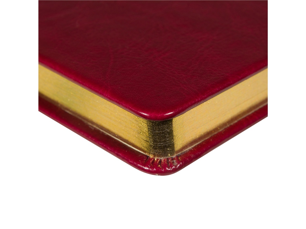 Ежедневник недатированный А5 Megapolis Nebraska, бордовый с золотым обрезом-2