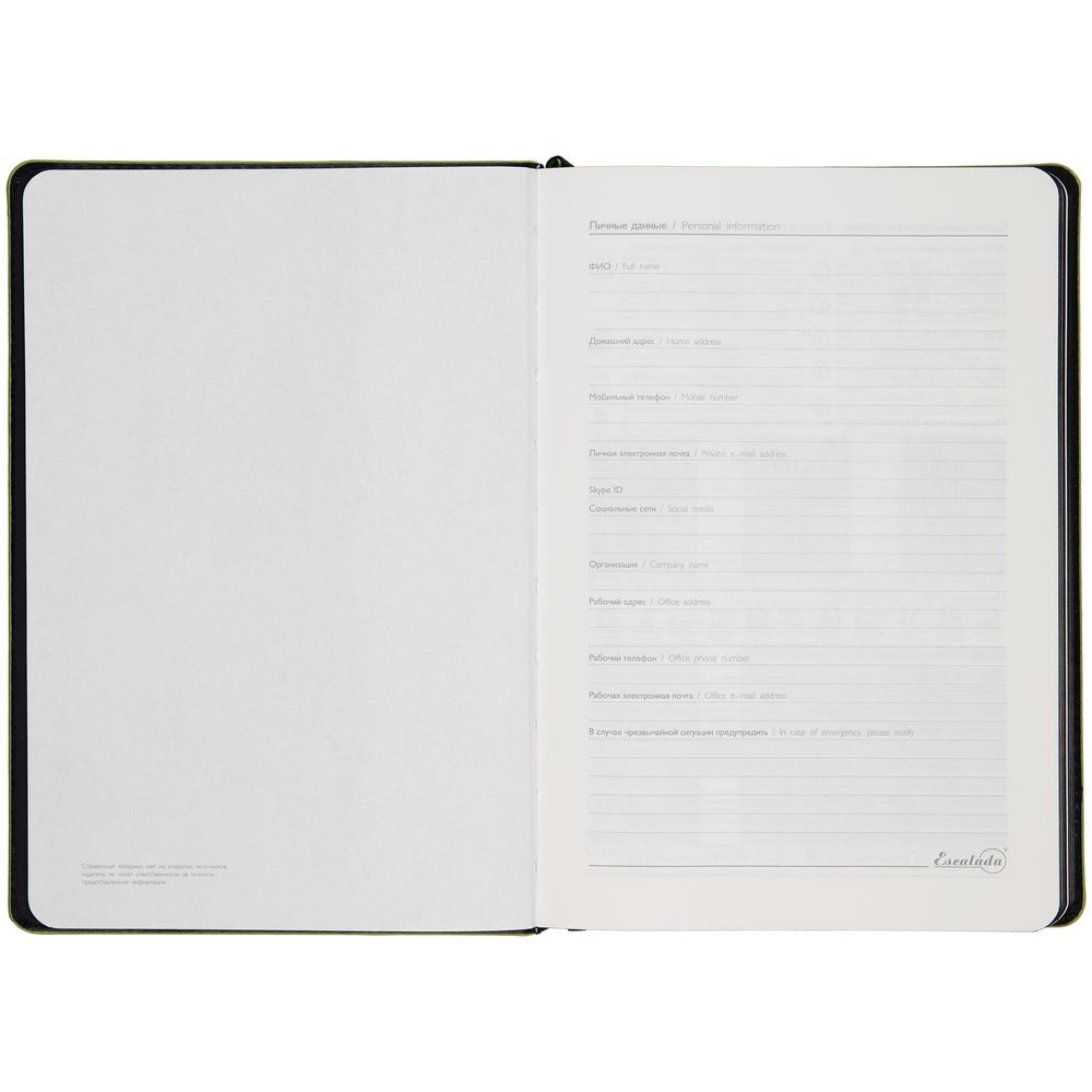 Ежедневник Alanis, недатированный, черный с зеленым-3