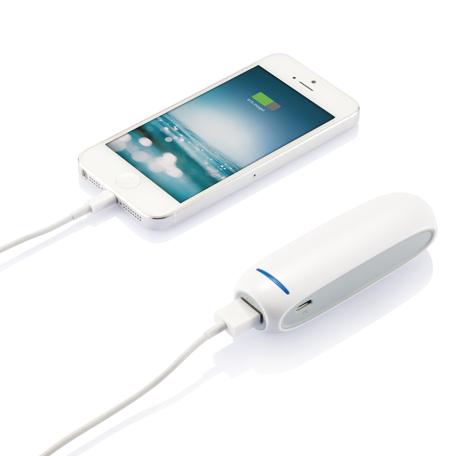 Зарядное устройство, 2600 mAh-4