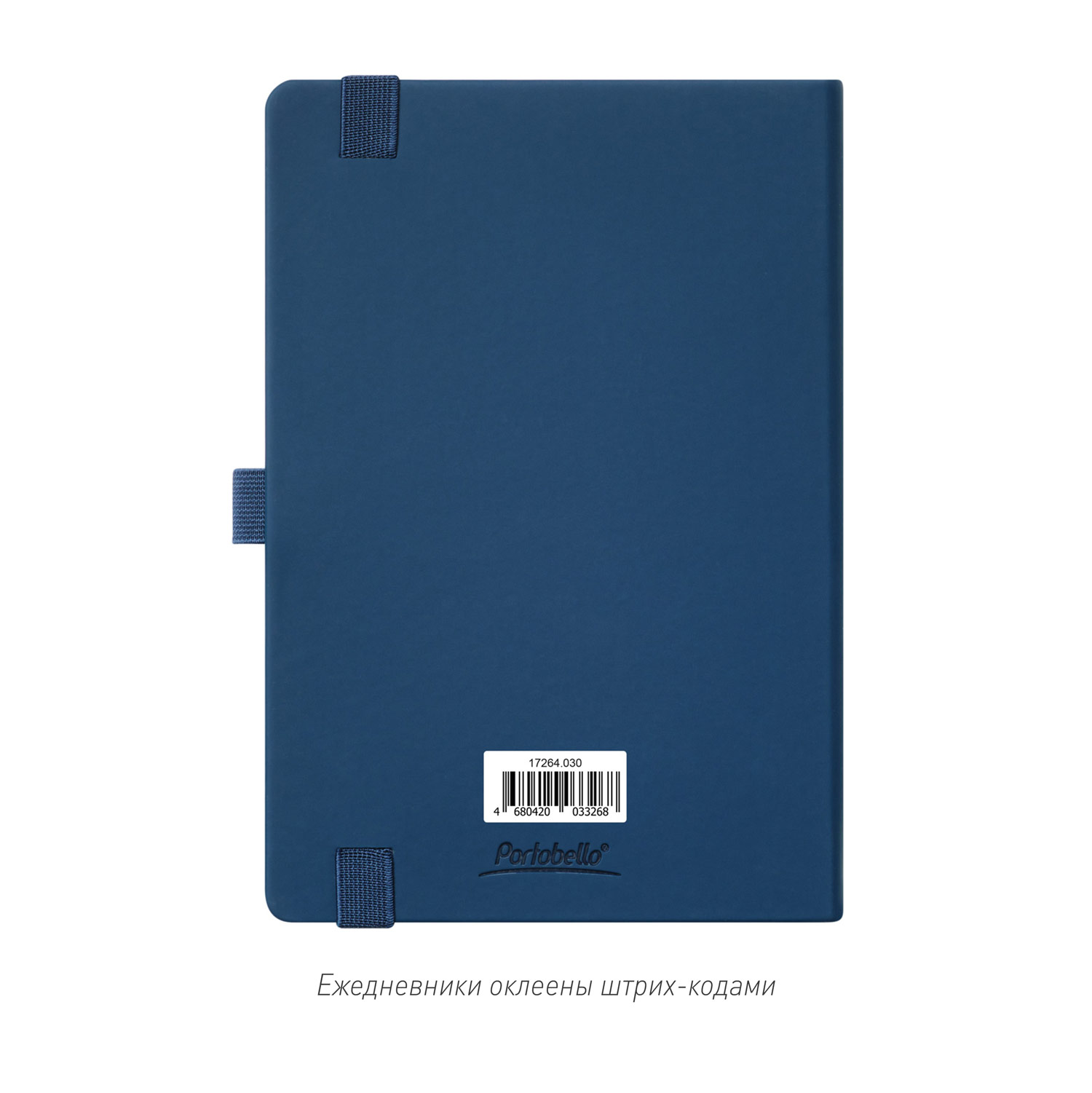 Ежедневник Alpha недатированный, синий/голубой-9