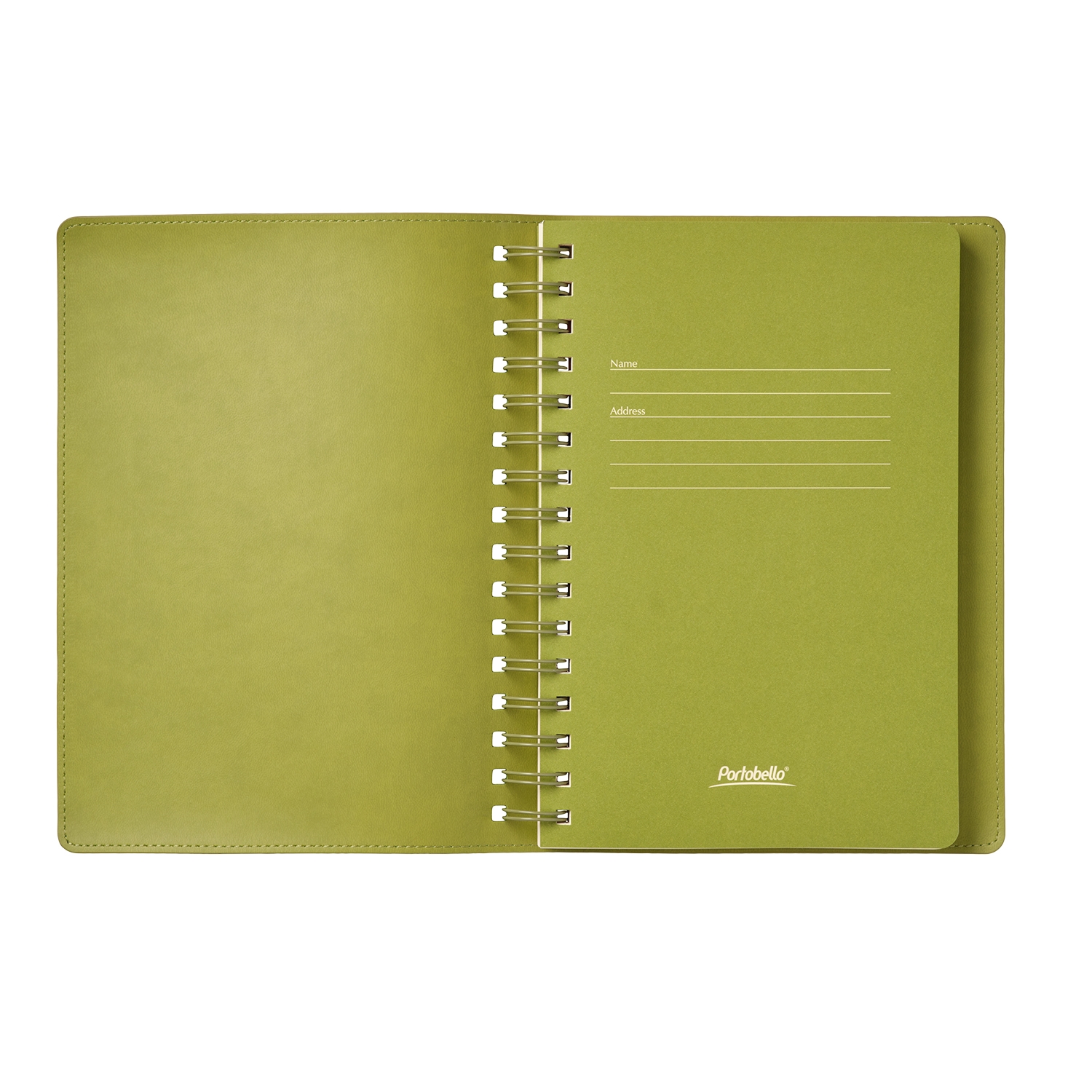 Ежедневник Виста (Vista) недатированный, зеленый/салатовый-6