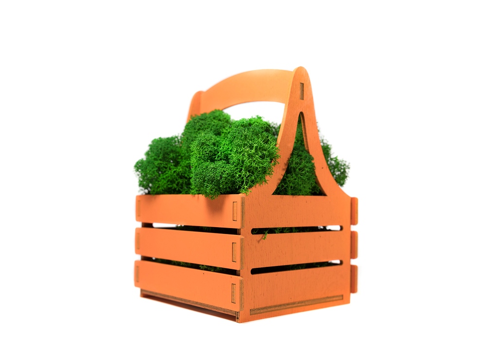Композиция Корзинка со мхом, оранжевый-2