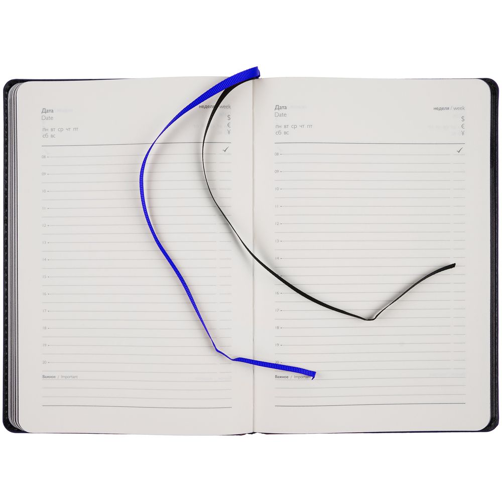 Ежедневник Alanis, недатированный, черный с синим-5