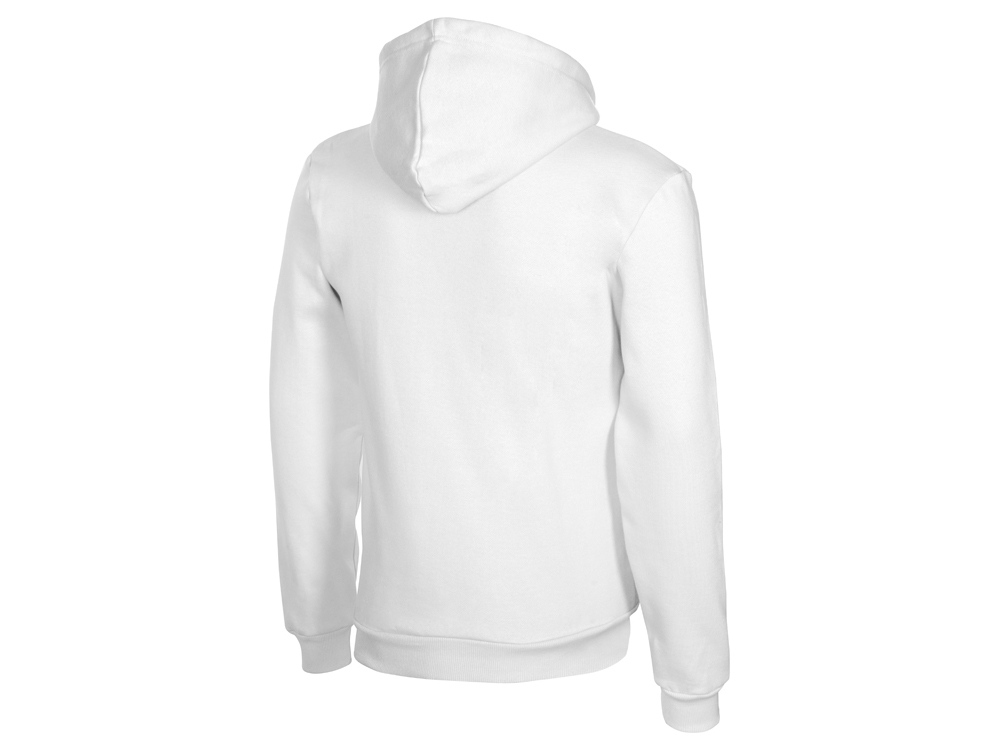 Толстовка с капюшоном Amsterdam мужская, белый-5