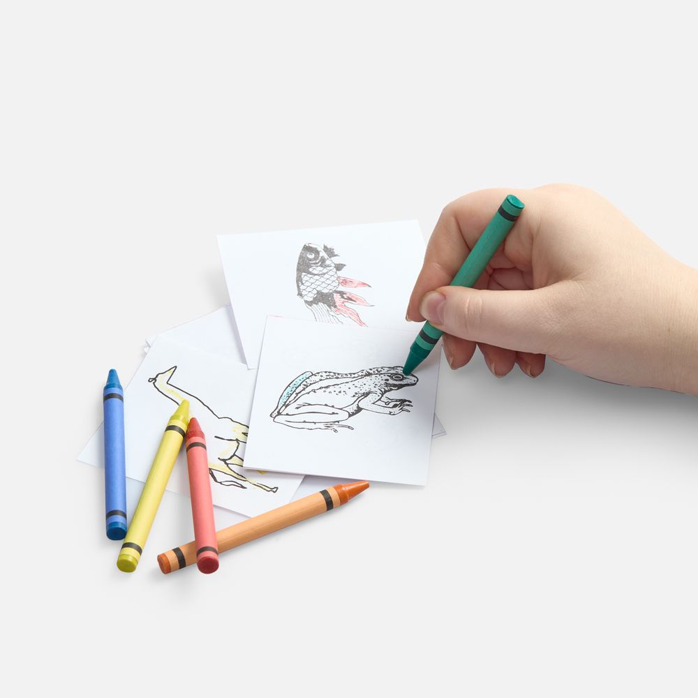 Набор для раскрашивания Create, белый-2