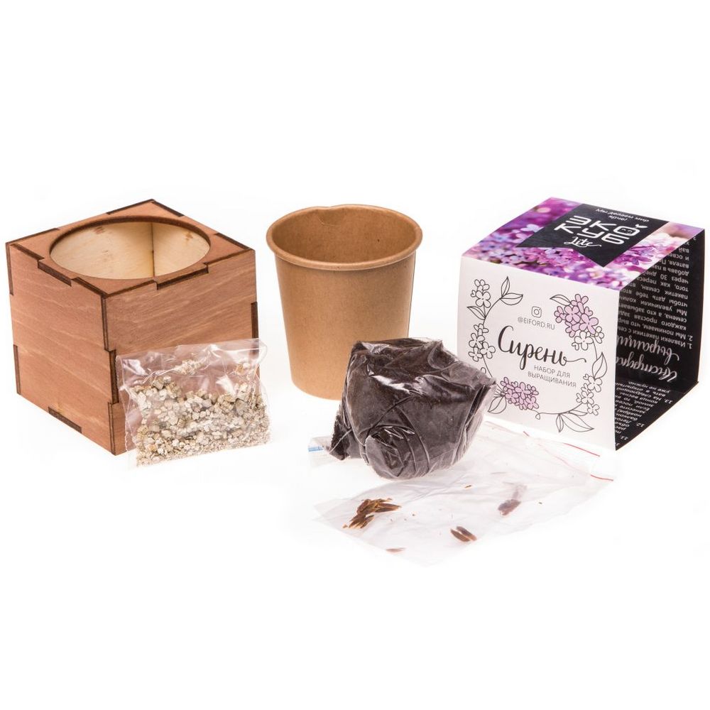 Набор для выращивания «Экокуб Lite», сирень-3