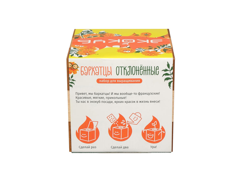 Набор для выращивания Экокуб Magicme Бархатцы-3