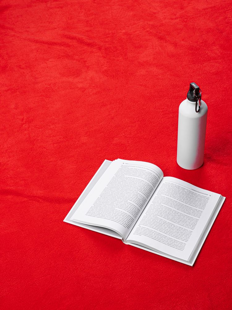 Дорожный плед Voyager 2, красный-5