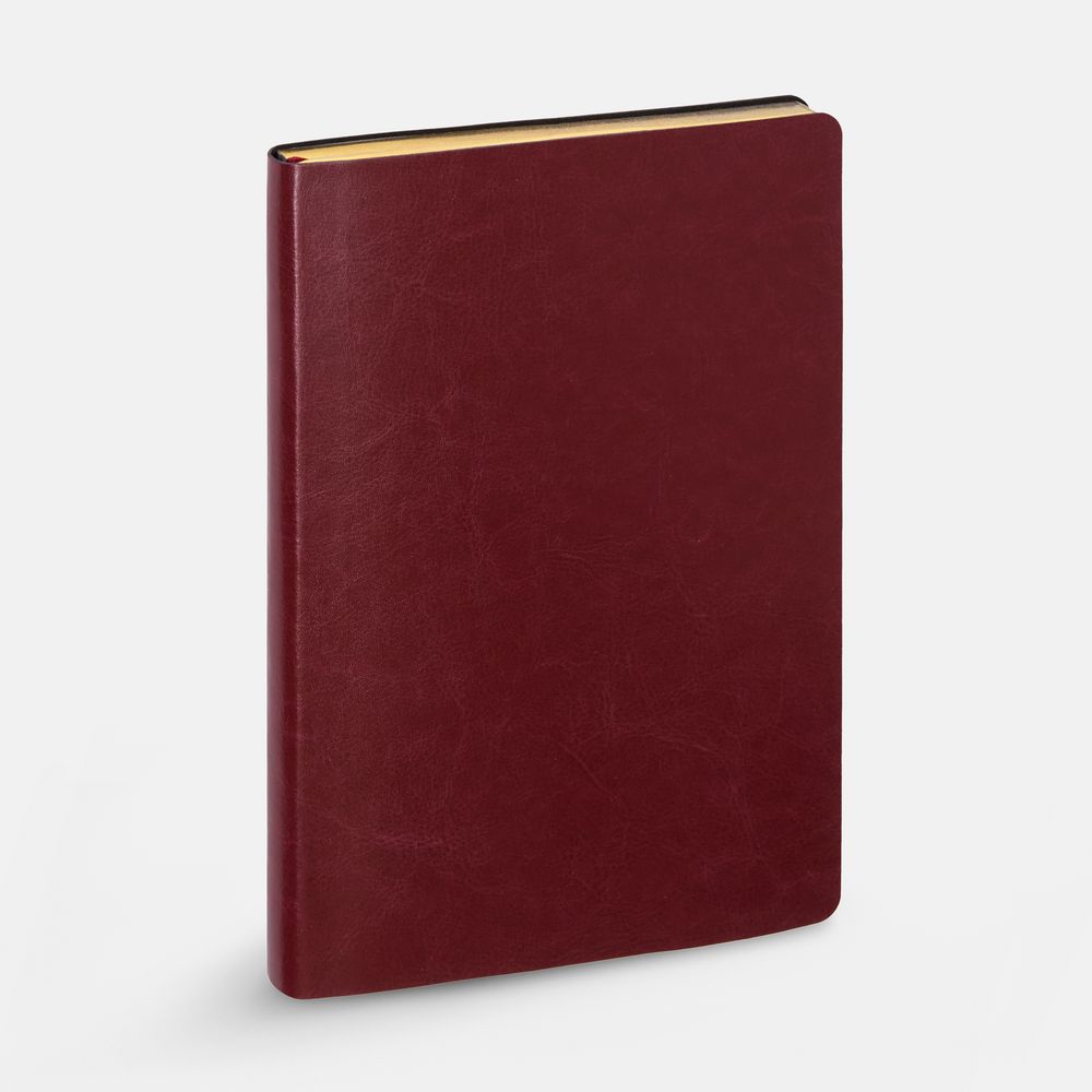 Ежедневник Nebraska Flex, недатированный, бордовый с золотистым-1