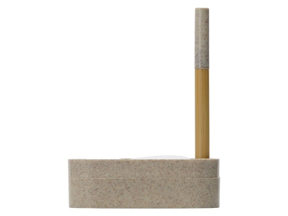 Набор для записей с семенами ромашки Patio-8