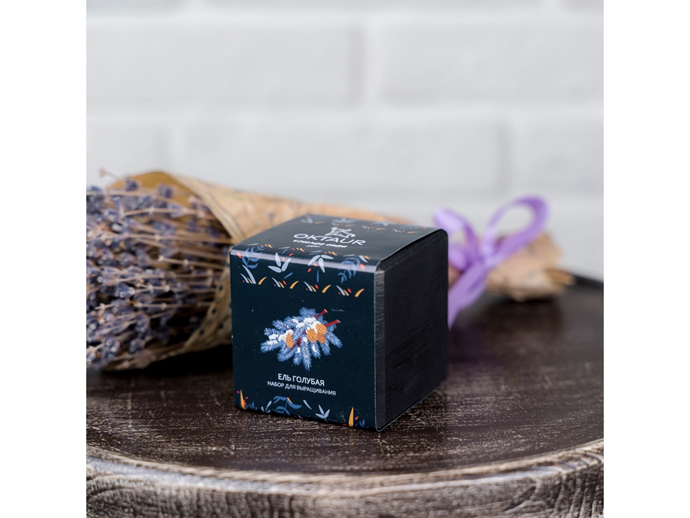 Набор для выращивания Small village cube Ель Голубая-2